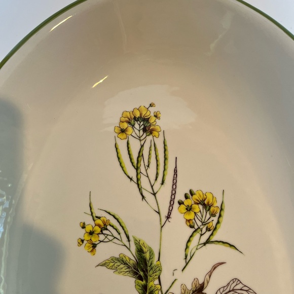 Vintage Italian Large Ceramic Bowl/Platter Featuring a Botanical Illustration - Picture 3 of 9